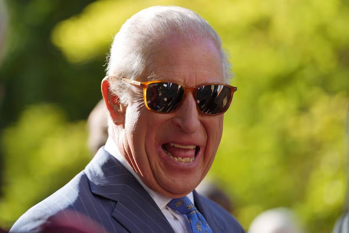 Candice Holmes tweet media