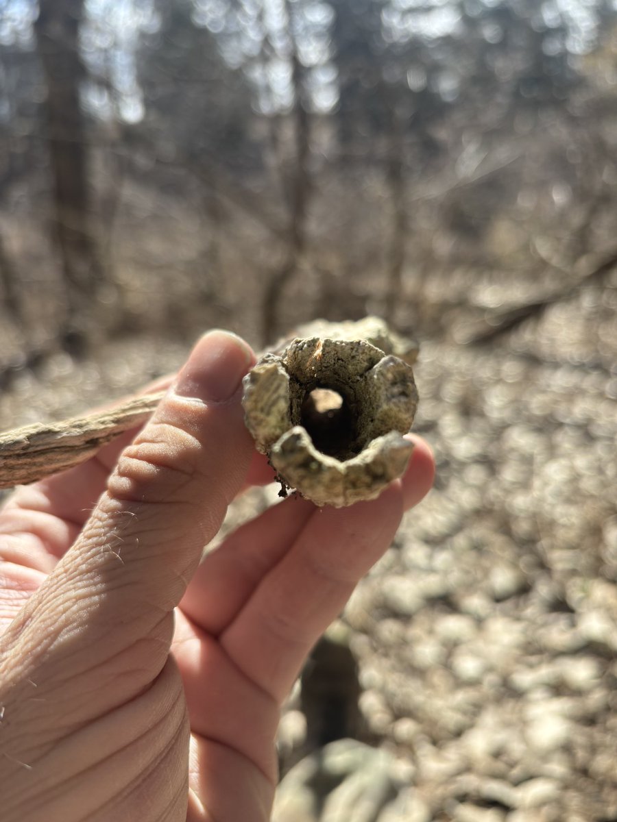 Andrew Boden tweet media