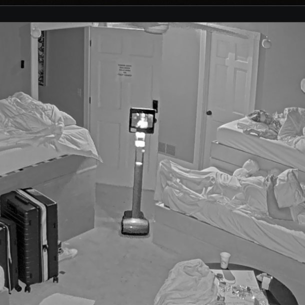 Ghost News Official tweet media