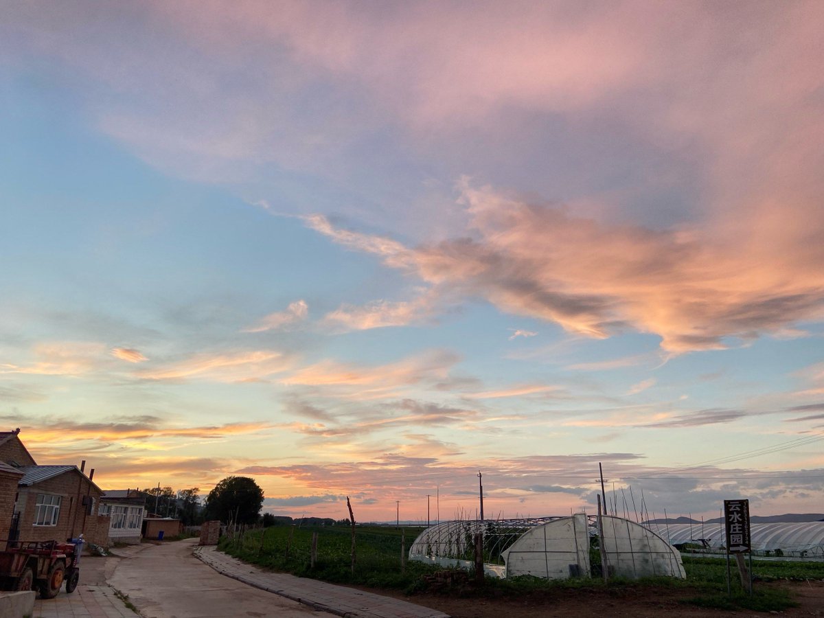 cody frey tweet media