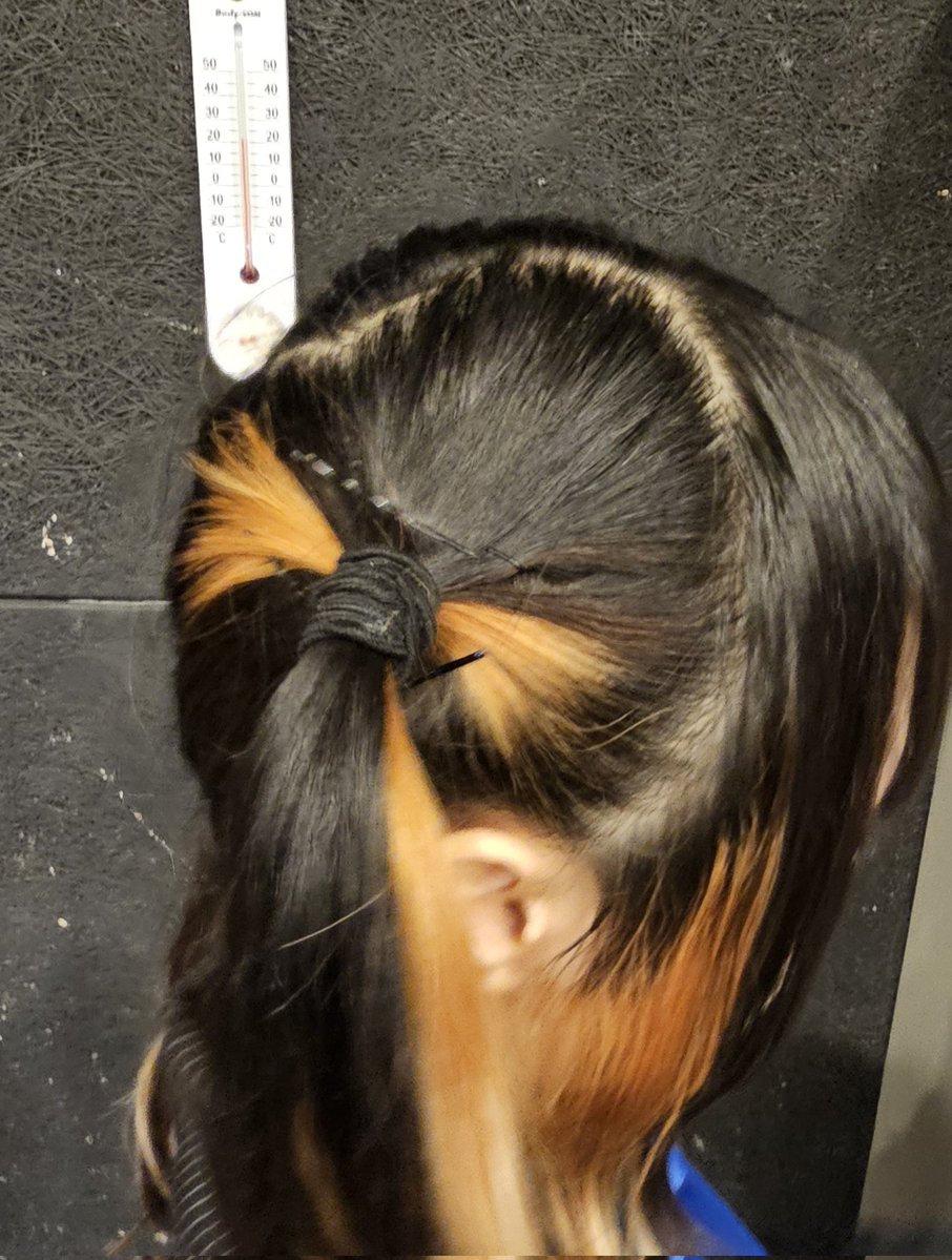 데굴데굴쾅 tweet media