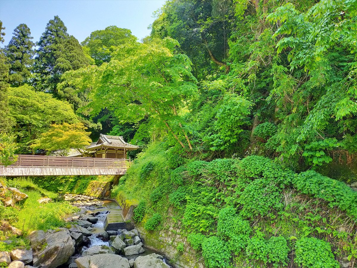 旅先での写真 tweet media