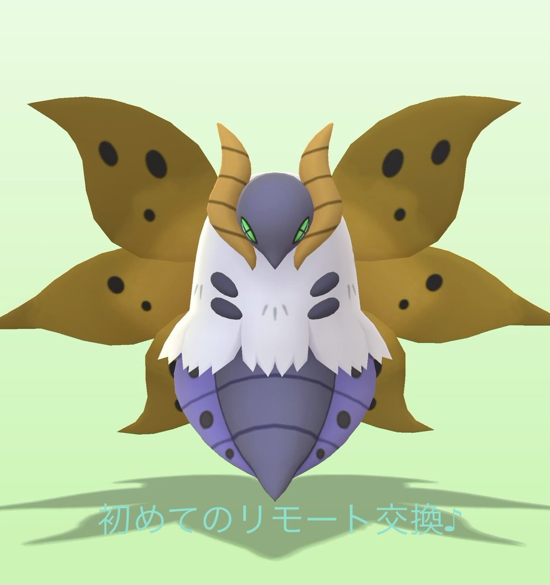 ももたろう tweet media