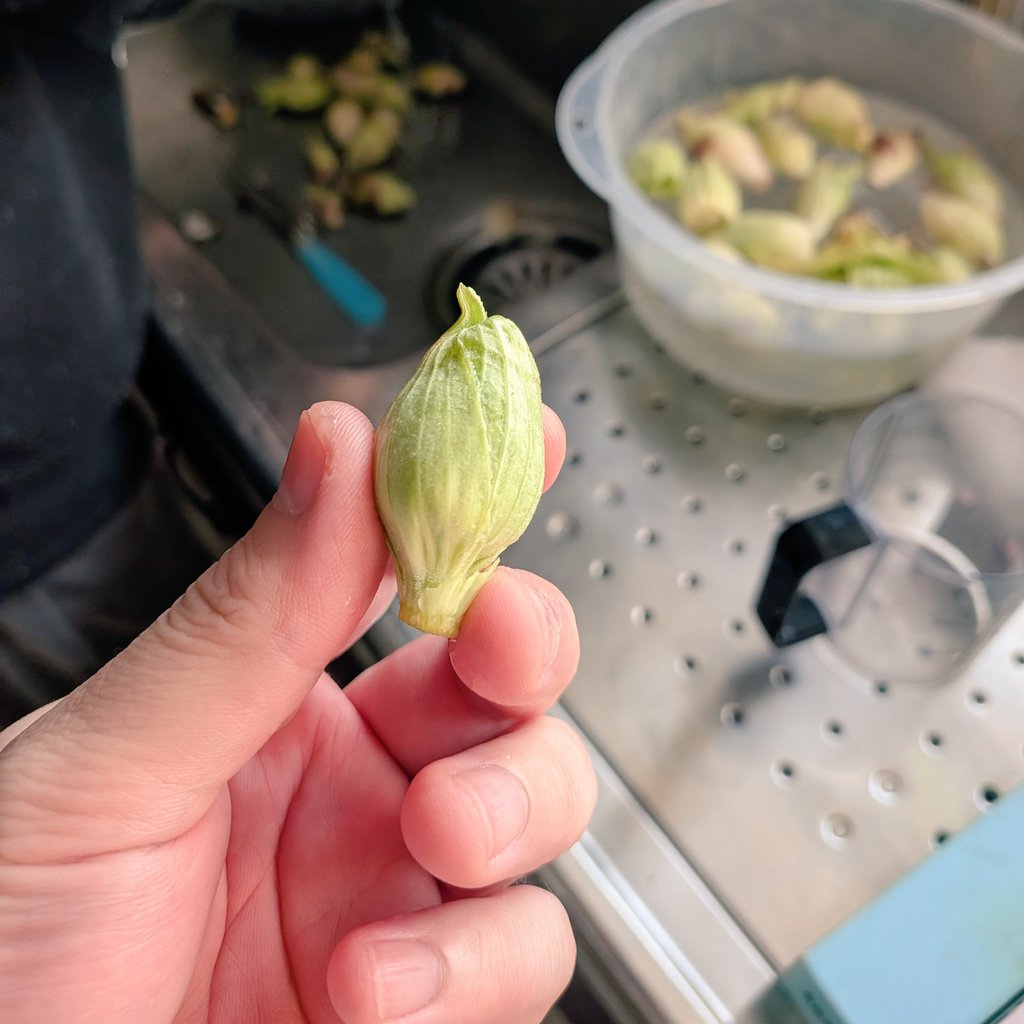 Tarako🐙『カソウ』舞踏団 tweet media