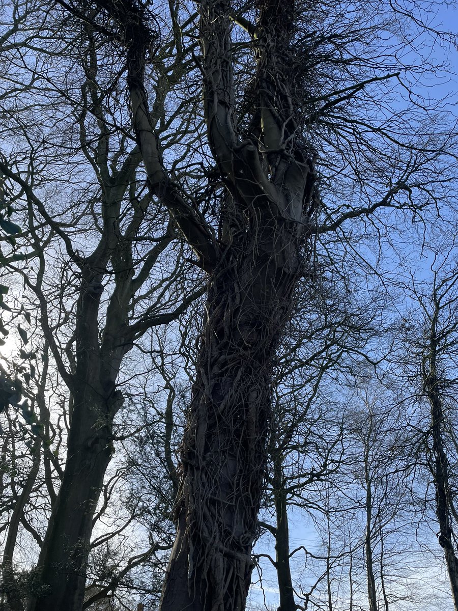 Tracy✨ tweet media