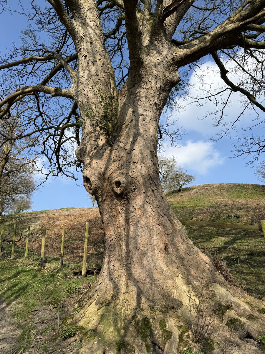 Manel Roura 🎗 tweet media