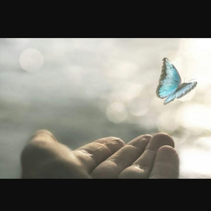 Aliya🍁 tweet media