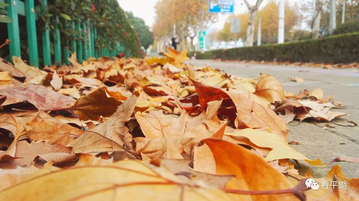 Dominqu'a tweet media