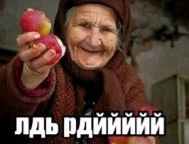 WEIRD FISH tweet media