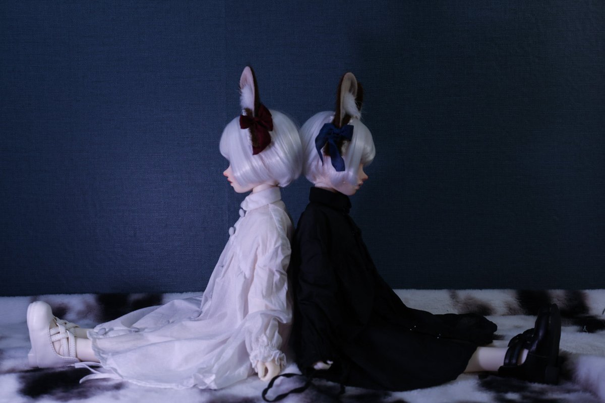 Anemone@受注作業中 tweet media