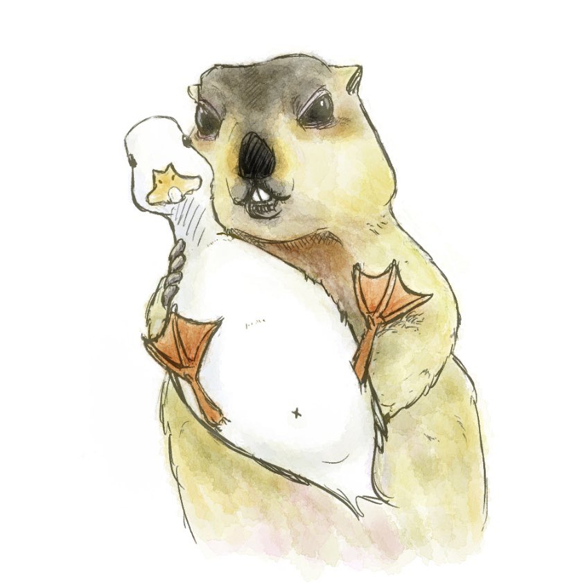 あひるさん tweet media