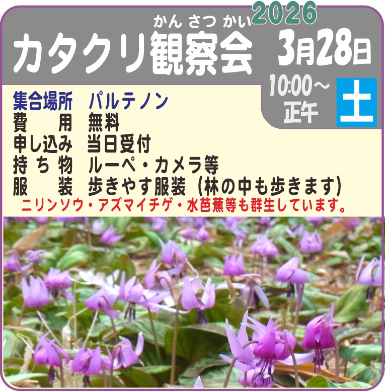 chichibumuse's tweet photo. カタクリが綺麗に咲く季節がやってきました！
🌸3/28（土）埼玉トヨペット秩父グリーンミューズパーク　駒沢カタクリ園で観察会を開催します✨ 先生の解説を聞きながらカタクリや山野草を観察しませんか？
水芭蕉やアズマイチゲも同時期に見頃です💜

👆 無料・当日受付　#カタクリ #山野草 #秩父 https://t.co/uD72UUla32