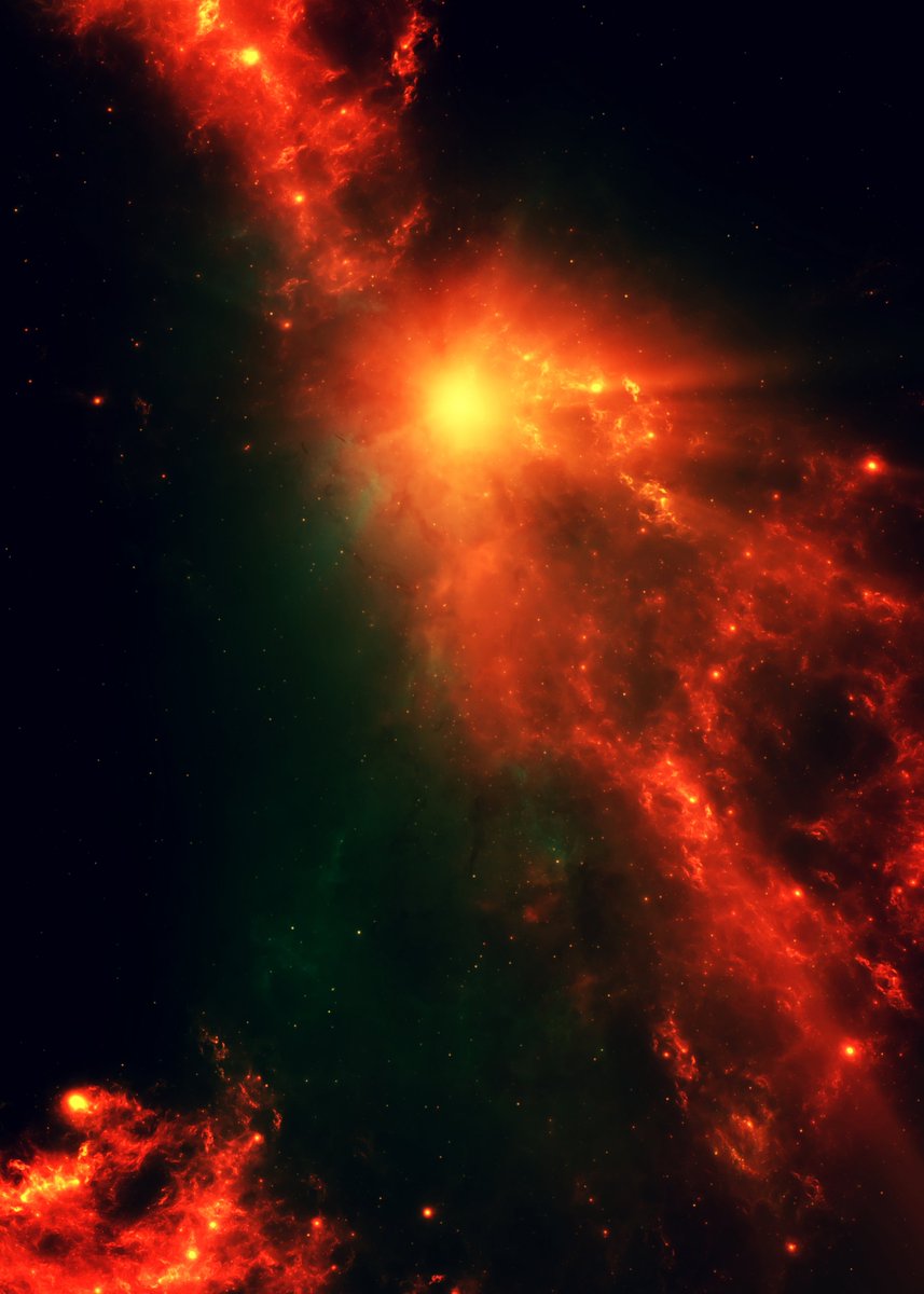 Ant Biolap tweet media