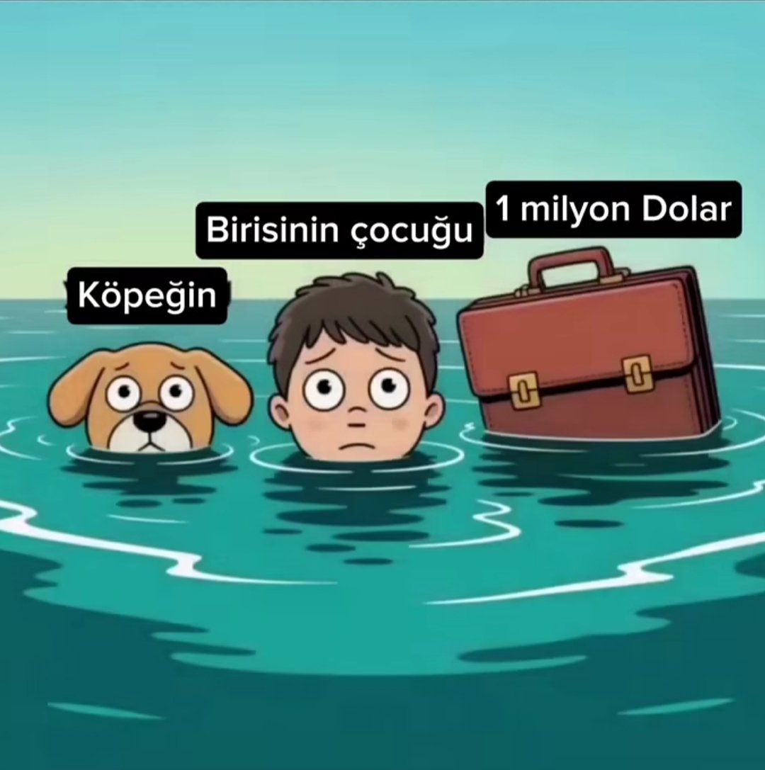 Dilan Su tweet media