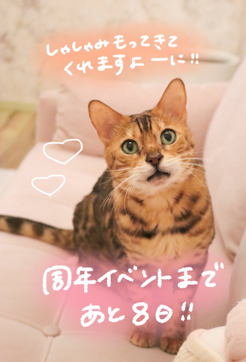 ヴィラ・ウリエル tweet media