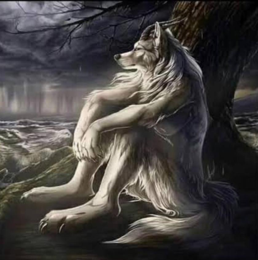 ÑFC Masherangel tweet media