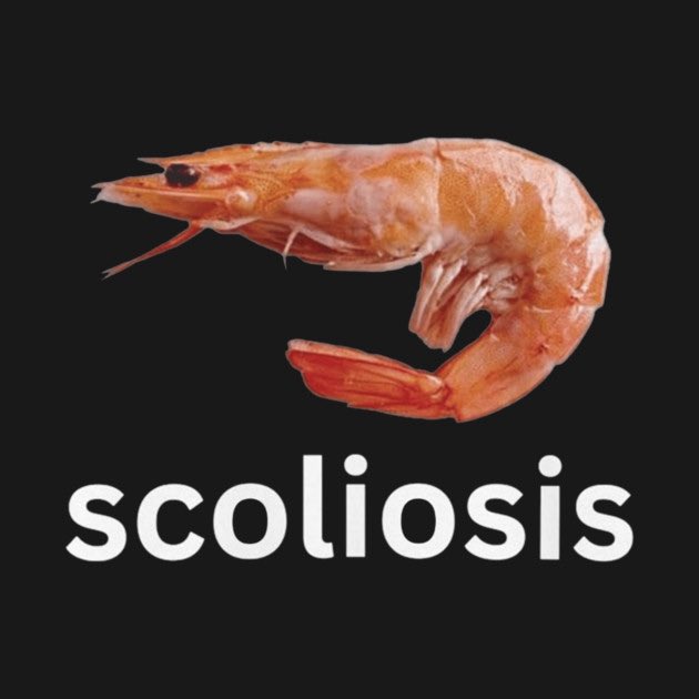 Perry ⚡️ tweet media