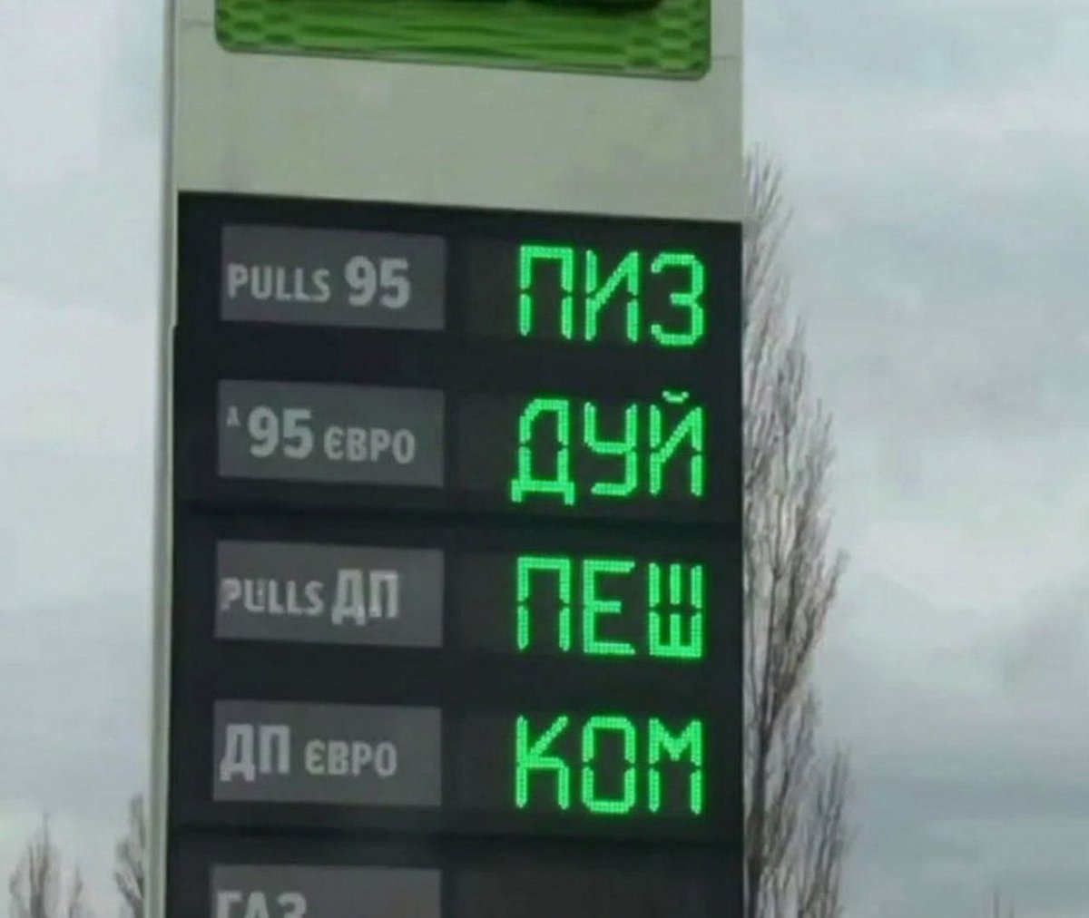 Хитрый Охотник tweet media