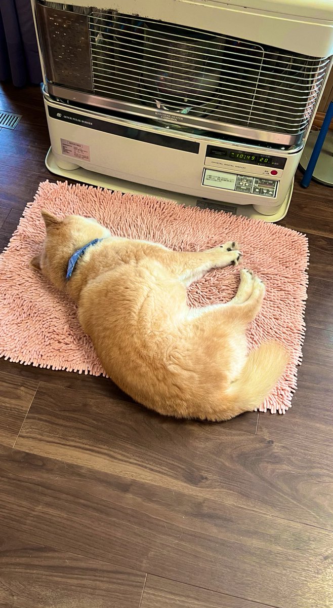 じゃあな釧路 またすぐ帰るよ