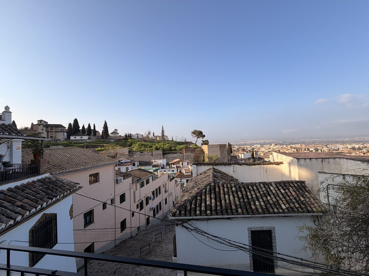 KⱯRO. ⅁RIG 🇦🇲 #MayhemBall tweet media