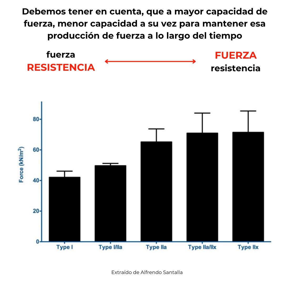 PreparacionFísicaBaloncesto. Assessport tweet media