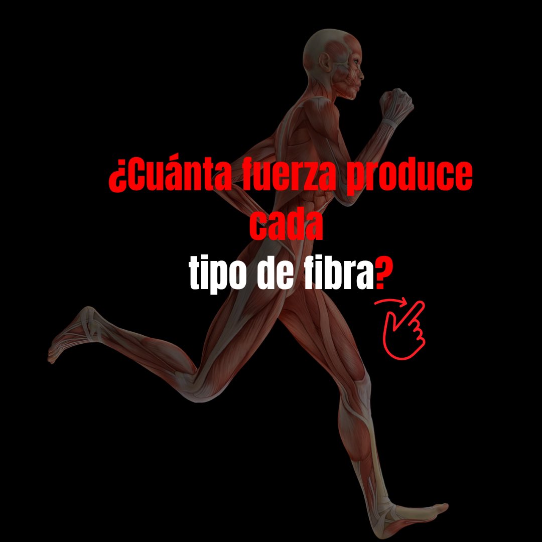 PreparacionFísicaBaloncesto. Assessport tweet media