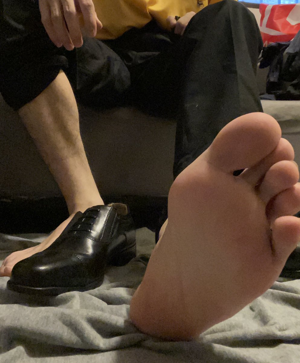 Latex者者 tweet media