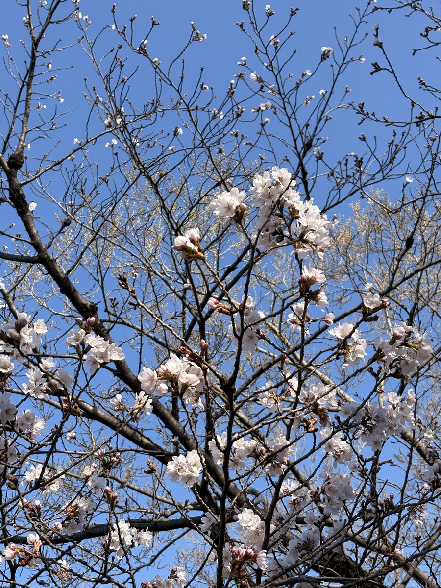 テクノア｜ブランディング戦略室です｜広報、企画、マーケティングを担当 tweet media