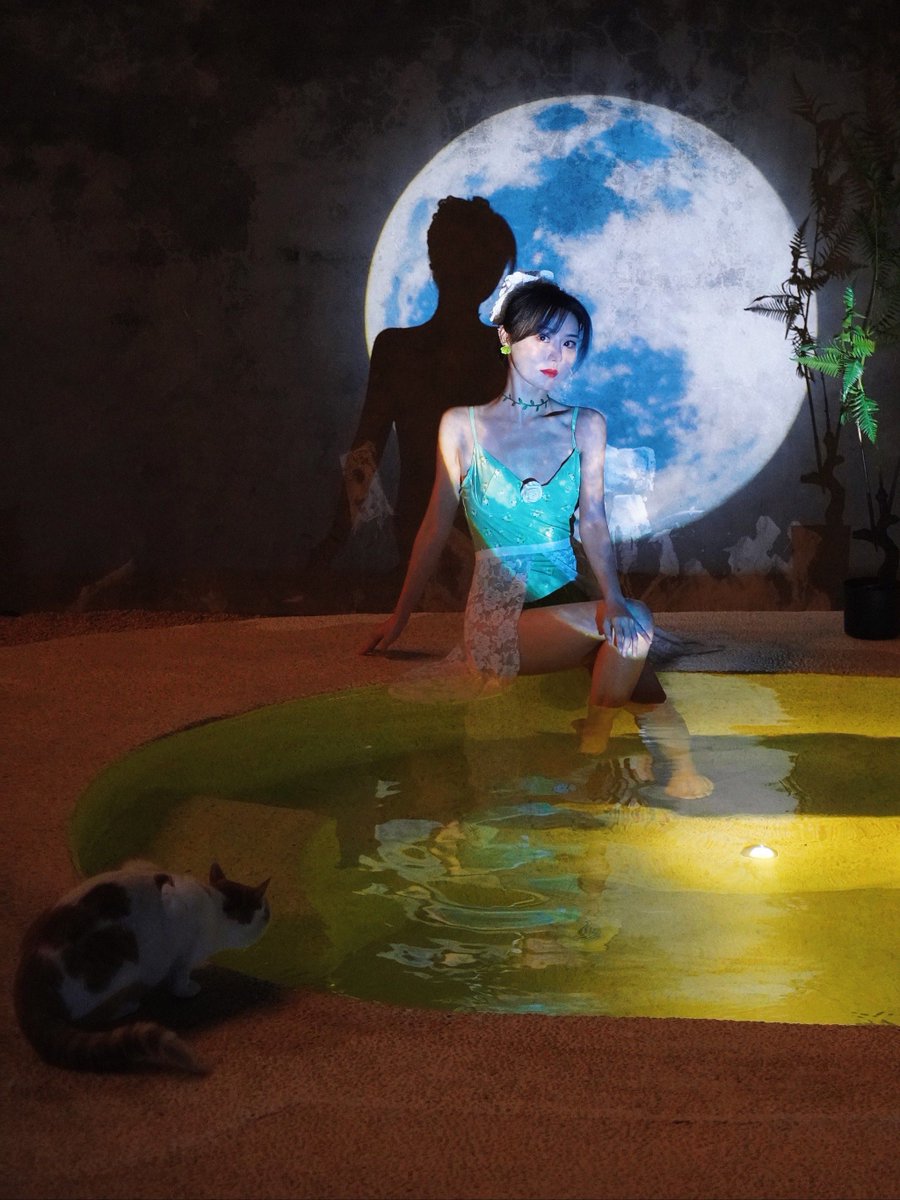 SothinkFreeware tweet media