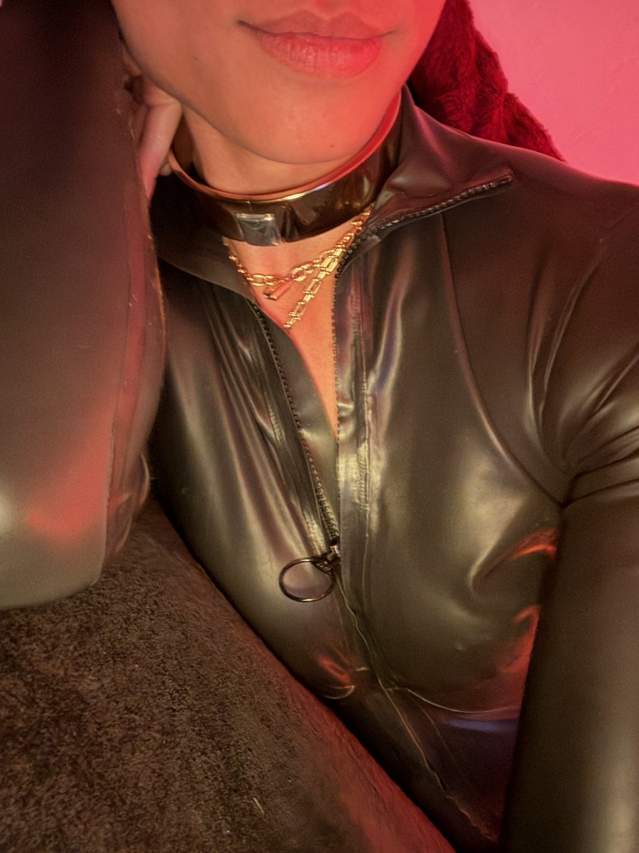 𝕷𝖆𝖉𝖞 𝕾𝖙𝖊𝖑𝖑𝖆 tweet media