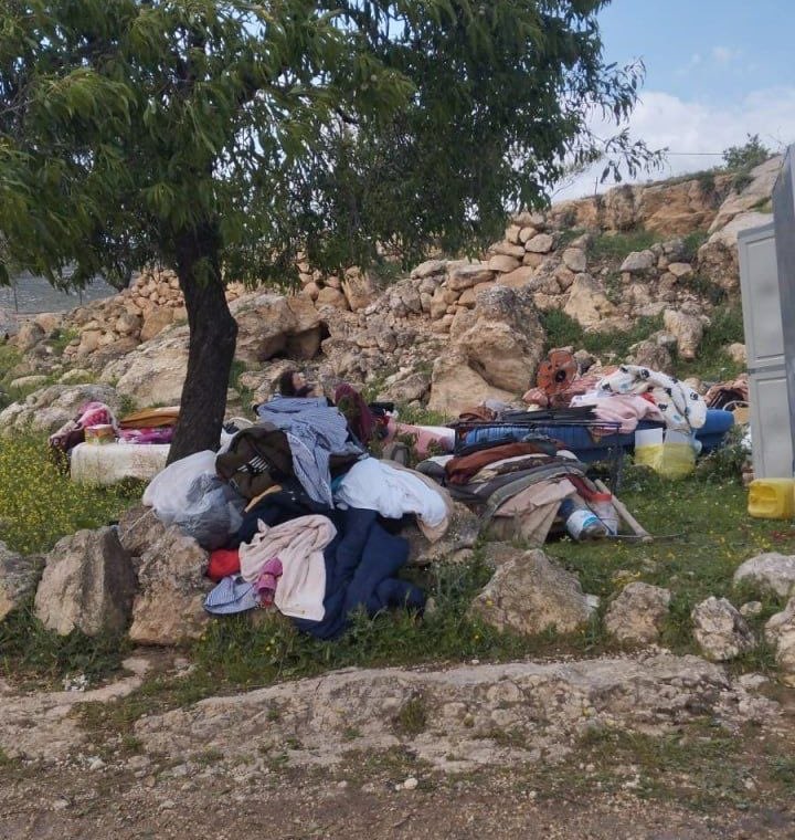 Sarah Wilkinson tweet media