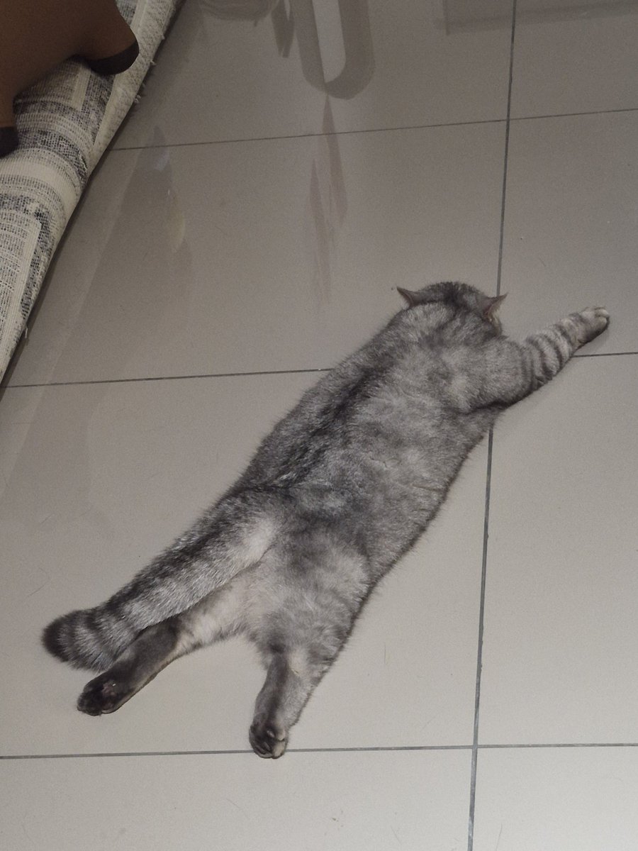 Fuka 🐙🗿🧟‍♀️🏆 DrawnToDawn✈️ tweet media