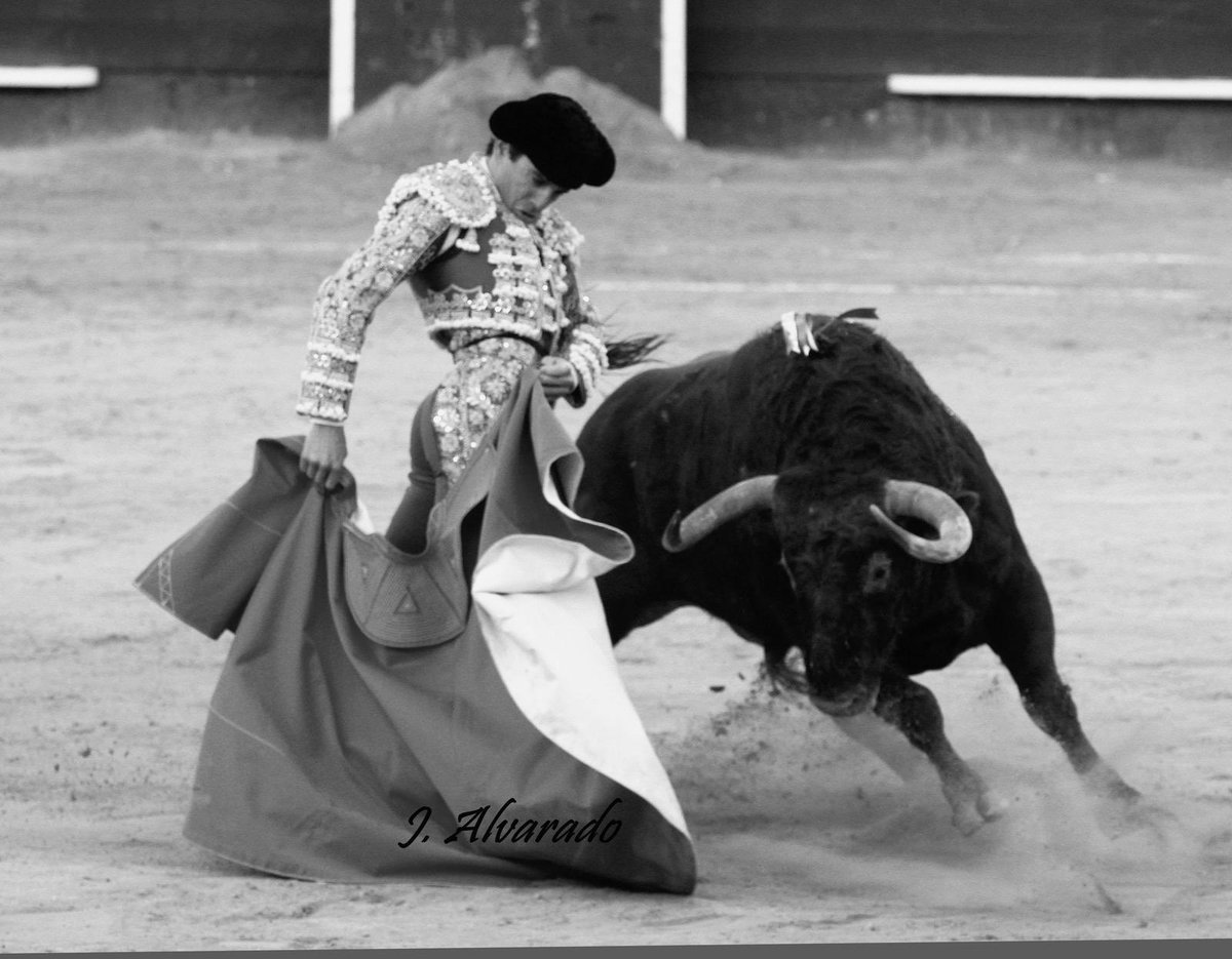 Peña Taurina Trianera Juan Ortega tweet media