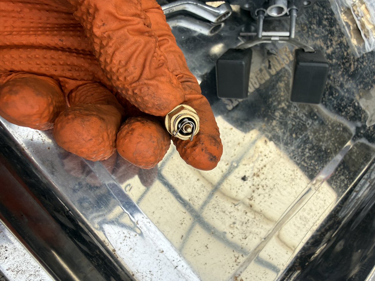 谷＋１。 tweet media