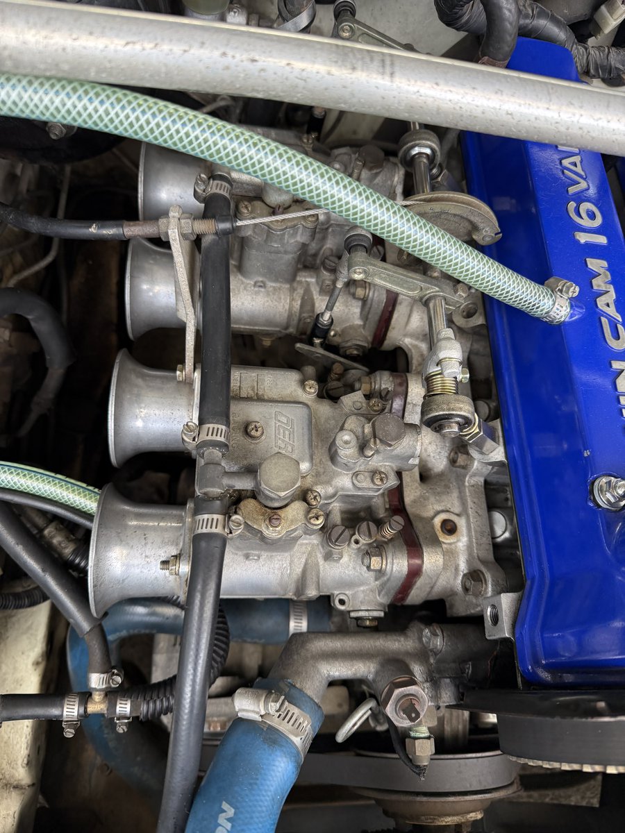 谷＋１。 tweet media