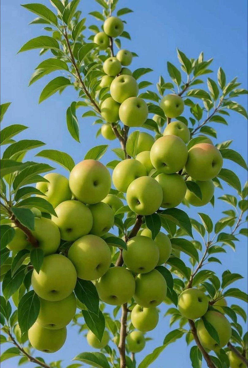 ISHMAEL. tweet media