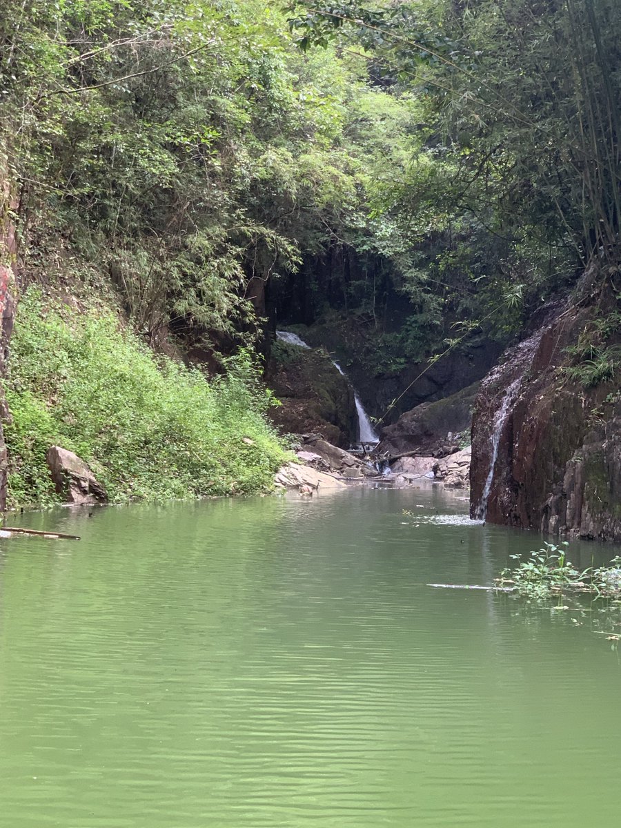 林欣妮~🇭🇰舞蹈愛好著 tweet media