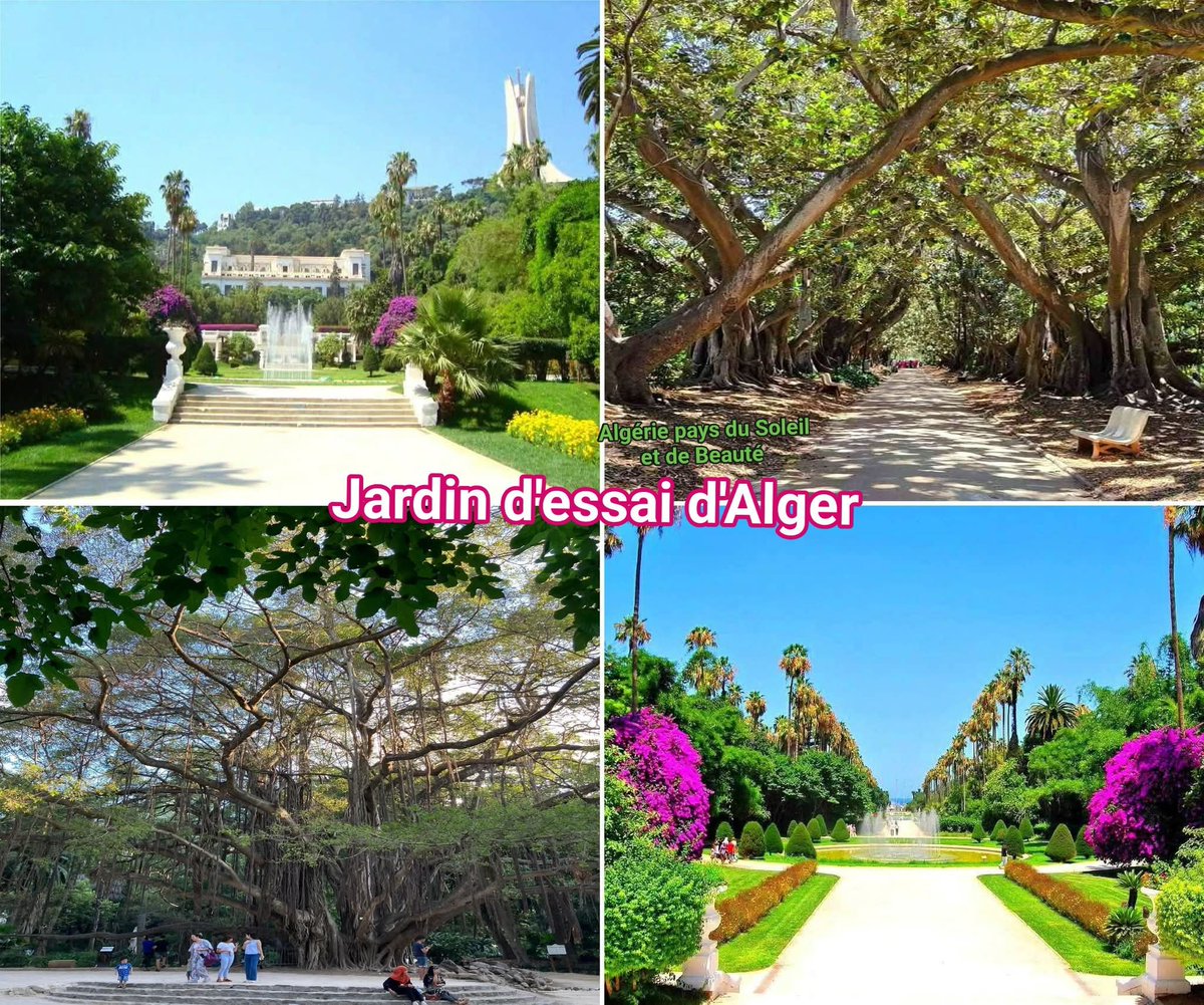 Thome Eric tweet media