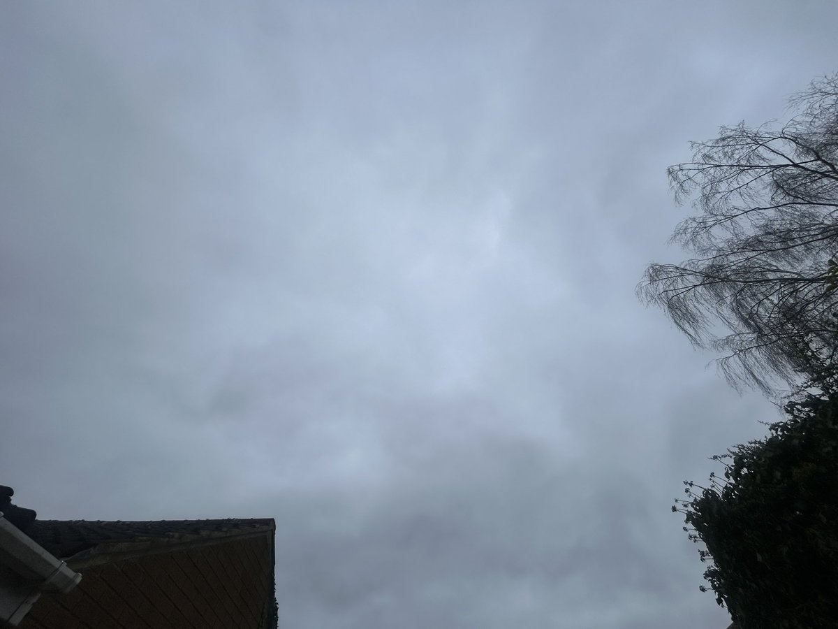 @ChatsWithEm tweet media