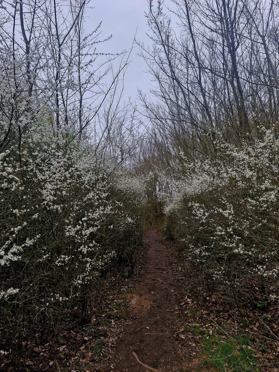 ShoolieW 🇬🇧 tweet media