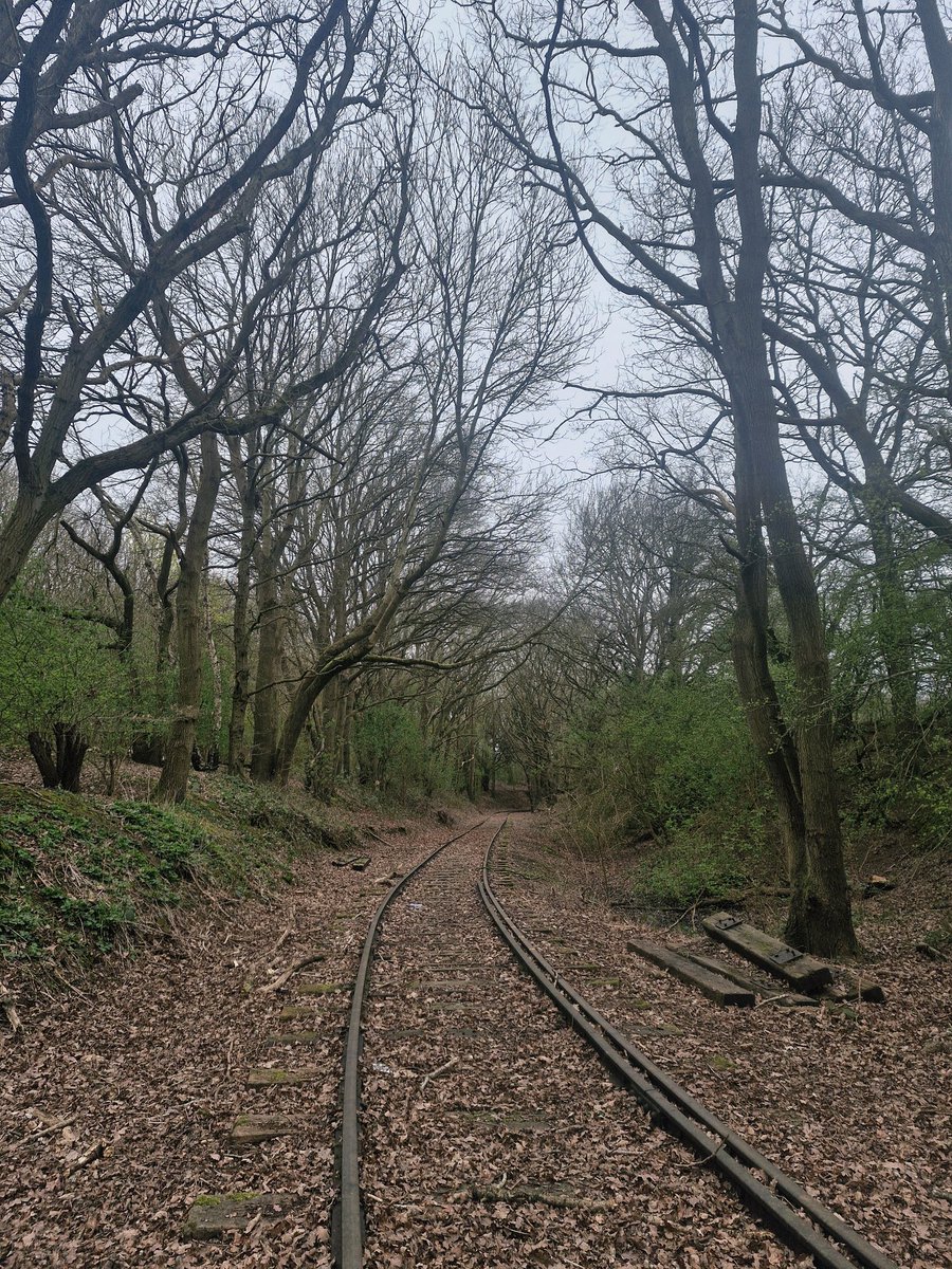 ShoolieW 🇬🇧 tweet media