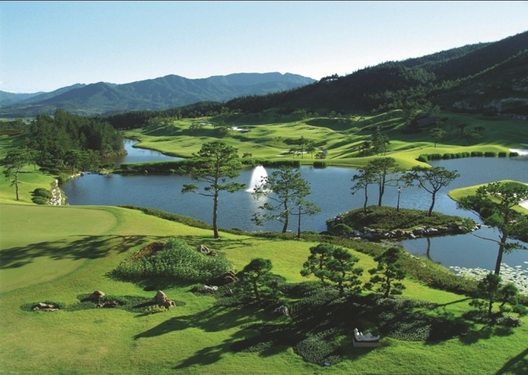 하롱부부 tweet media