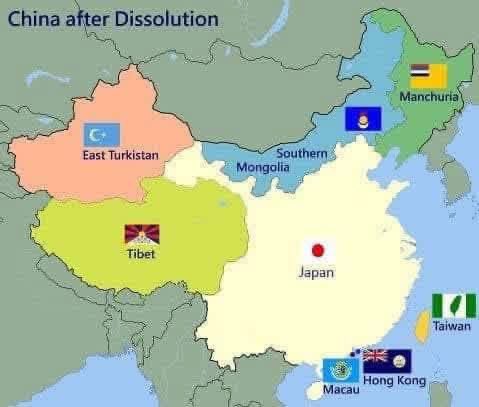 LuJun Quan tweet media