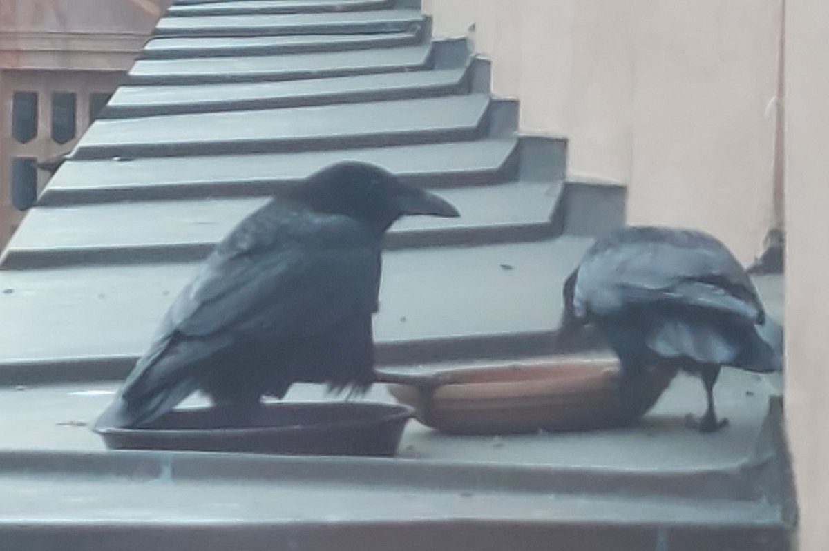 indesirable tweet media