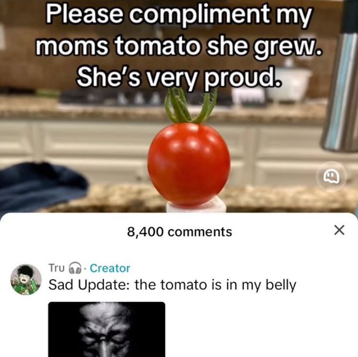 i like food tweet media