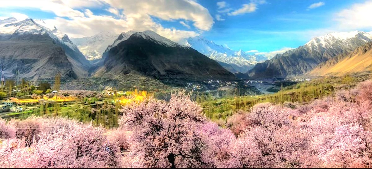 Alpine Adventure Guides tweet media