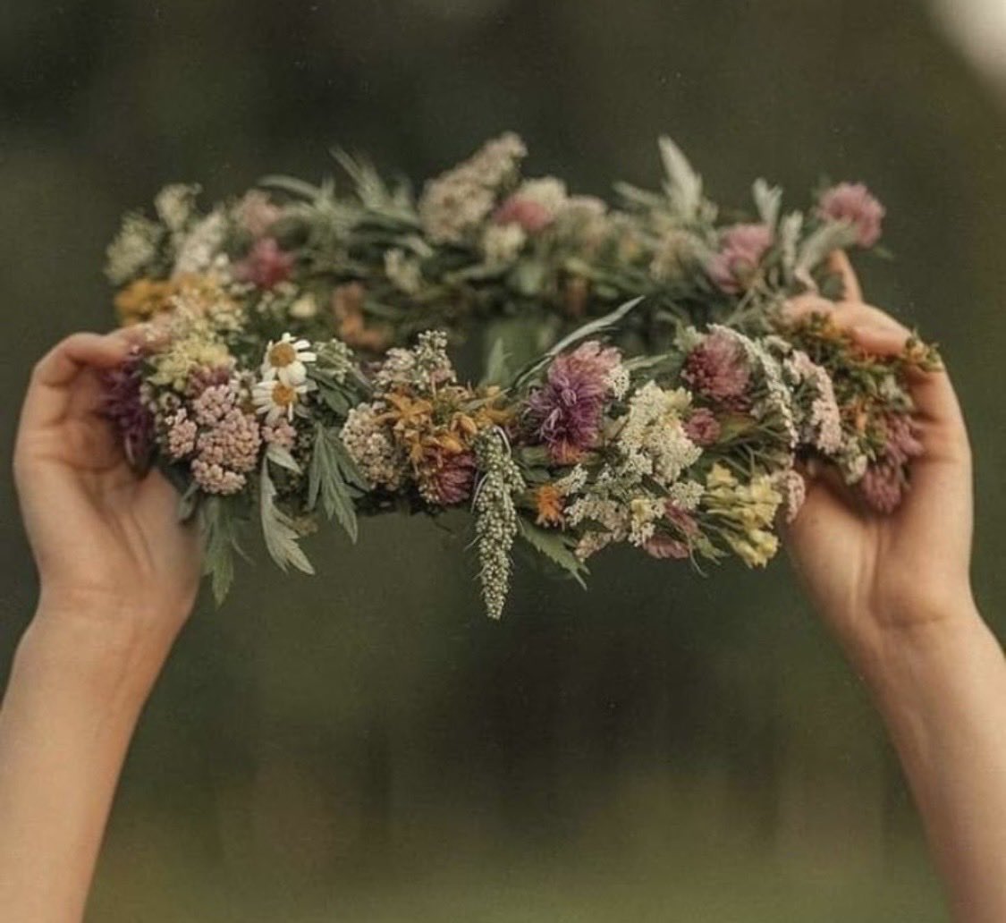 همس الخفوق tweet media