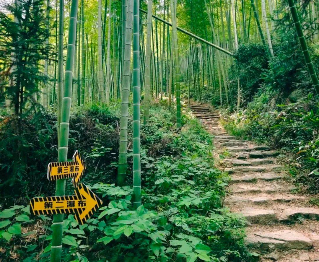 N8 Clancy tweet media