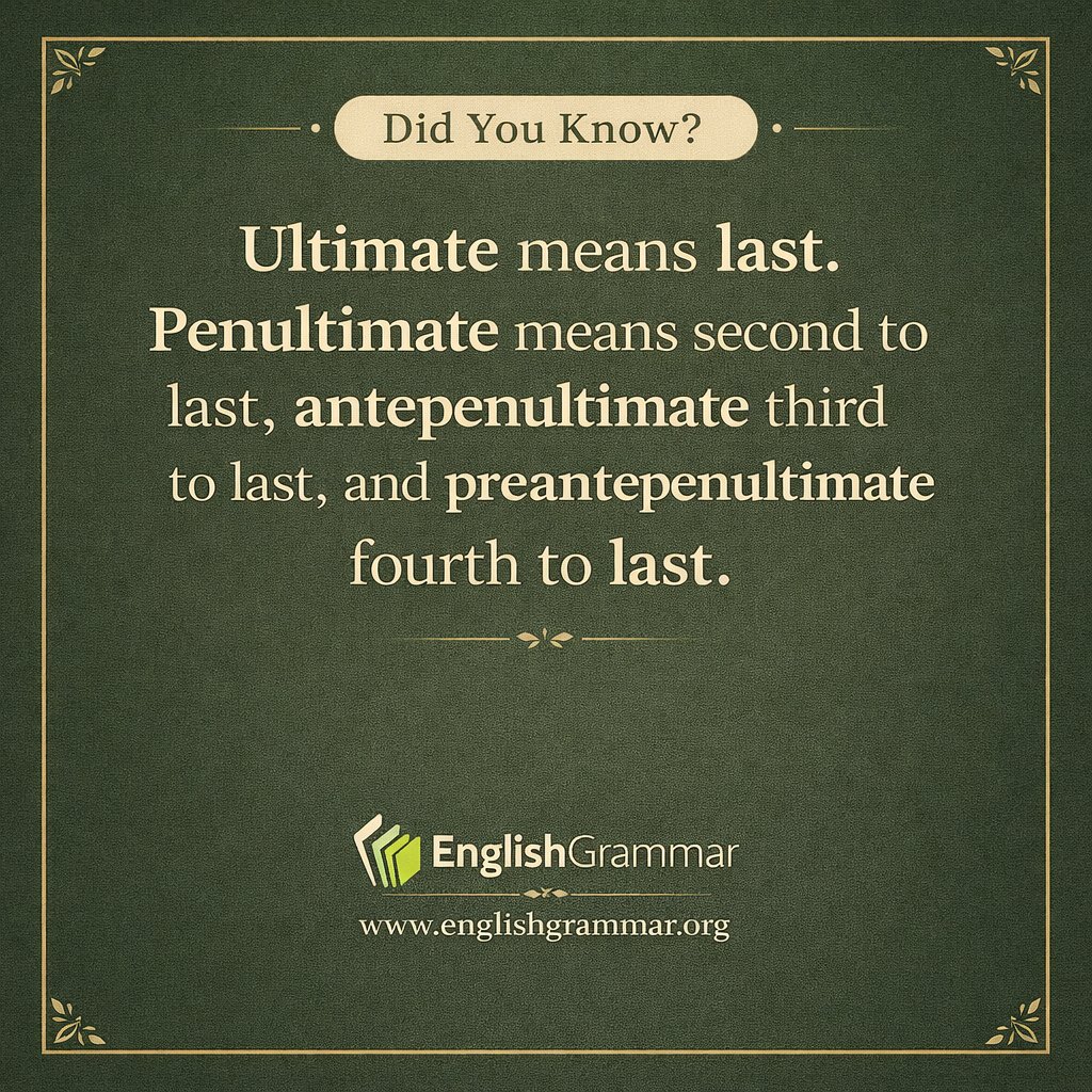 English Grammar tweet media