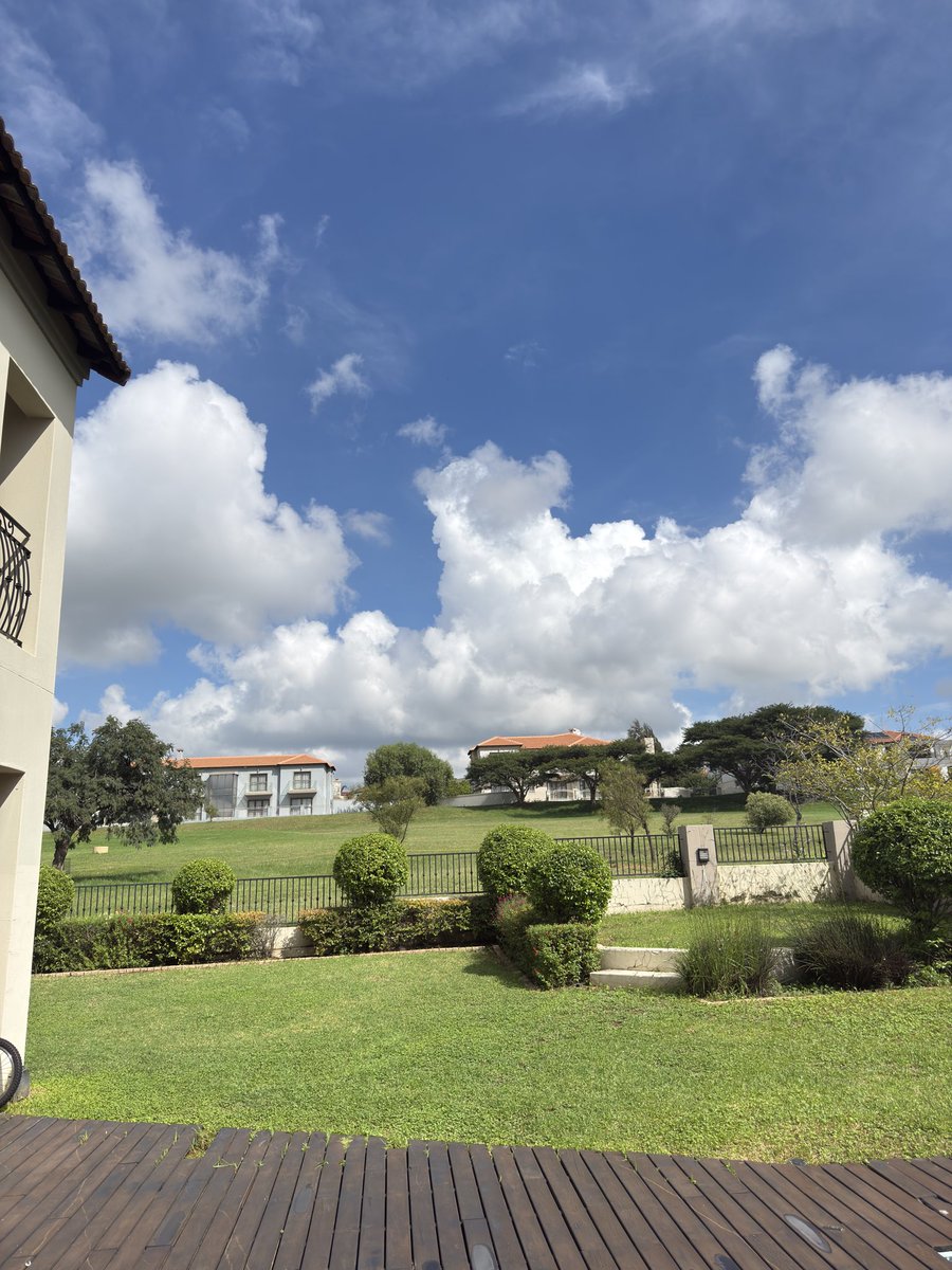 Gm  
Sun shining, market's back, let’s make money!